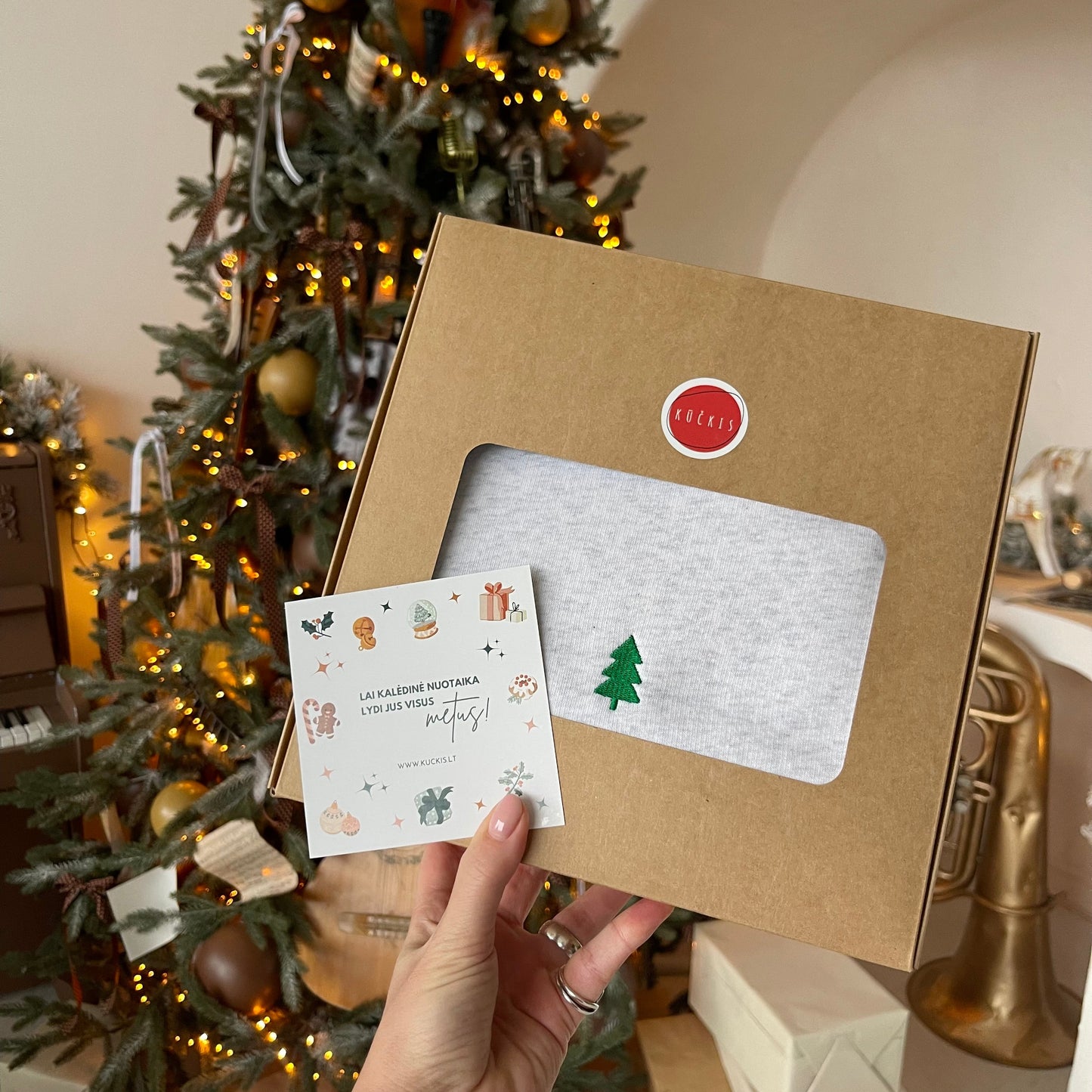 Džemperiai 'Ash Grey' (visai šeimai)